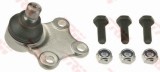 Pivot CITROEN XSARA (N1) (1997 - 2005) TRW JBJ126