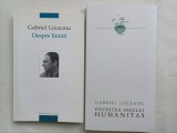 GABRIEL LIICEANU- DESPRE LIMITA, 2005+ POVESTEA INSULEI HUMANITAS, 2020