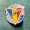 Insigna RoAF ELBIT IAR Soim
