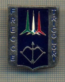 Y 1007 INSIGNA -AVIATIE MILITARA- FRECCE TRICOLORI -ITALIA-PENTRU COLECTIONARI