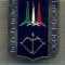 Y 1007 INSIGNA -AVIATIE MILITARA- FRECCE TRICOLORI -ITALIA-PENTRU COLECTIONARI