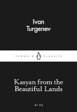 Penguin Little Black Classics - Kasyan from the Beautiful Lands 75, Penguin Books