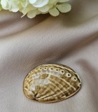 BROSA VINTAGE LUCRATA MANUAL, MODEL SCOICA