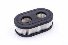 Luft-filter pentru briggs &amp;amp; stratton 550e, 550ex u.a., , foto