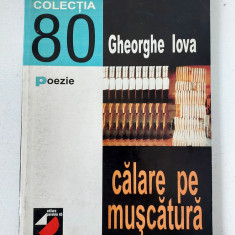 Gheorghe Iova - Calare pe muscatura, Colectia 80, Editura Paralela 45