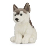 Catel Husky de plus 20 cm , Living Nature