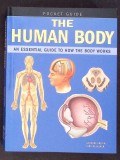 THE HUMAN BODY-JANE DE BURGH-364155