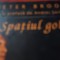 SPATIUL GOL - PETER BROOK, NEMIRA, 2014, 211 PAG CARTONATA, SUBLINIERI CREION