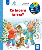 Cumpara ieftin Ce Facem Iarna?, Andrea Erne - Editura Casa