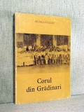 Corul din Gradinaru - Petru Oallde