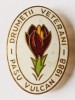 INSIGNA DRUMETII VETERANI PASUL VULCAN 1988 TURISM TURISTIC DRUMETIE ( CITITI DESCRIEREA ), Romania de la 1950
