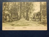 1918 - Reghin, parcul central (jud. Mures)