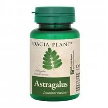 Astragalus Dacia Plant 60cpr Cod: 22932 foto