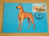 C12 - maxima Romania - tematica rase de caini 5 - prima zi a emisiunii sau expozitii, Romania de la 1950