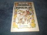 ROMEO POPESCU - GRADINA BUNICULUI