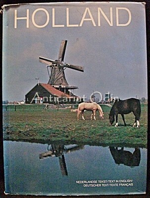Holland - Tanya Hines foto
