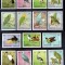 Manama (Ajman) 1969, Mi #159-169**, fauna, pasari, dantelat + nedantelat, MNH, cota 22 &euro;!