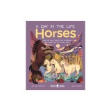 Horses (a Day in the Life): What Do Wild Horses Like Mustangs and Ponies Get Up to All Day?