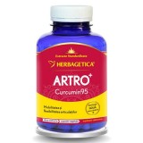 HERBAGETICA Artro + Curcumin 95, 60 capsule