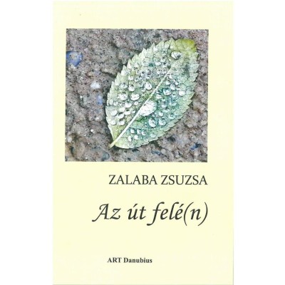Az &amp;uacute;t fel&amp;eacute;(n) - Zalaba Zsuzsa foto