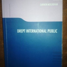 Drept international public- Carmen Moldovan