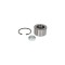 Set rulment roata FIAT DUCATO platou sasiu 244 FAG 713 6909 30