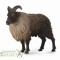 Figurina capra salbatica Tahr Himalaian L Collecta