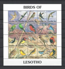 Lesotho 1992 MNH, nestampilat - Mi. 945-64 - Pasari, fauna foto