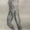 Grafica Studiu Nud, carbune pe carton, format mare 70x100 cm