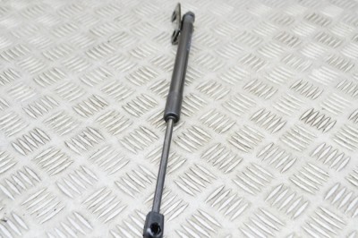 Amortizor capota st&amp;acirc;nga față TESLA MODEL 3 2021 OEM: 1091472-00-B | 15443936 foto