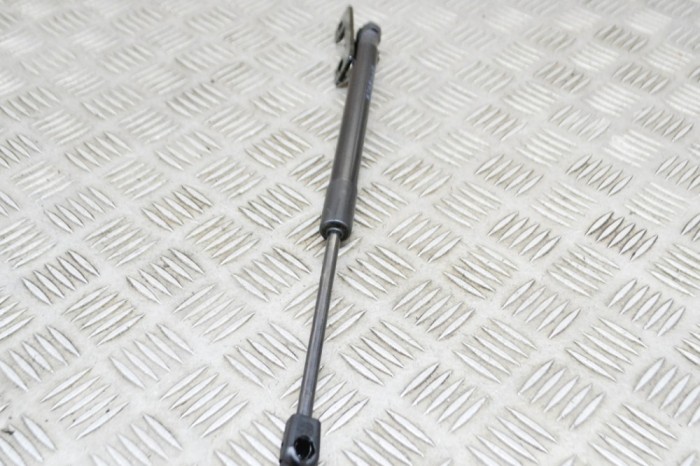 Amortizor capota st&acirc;nga față TESLA MODEL 3 2021 OEM: 1091472-00-B | 15443936