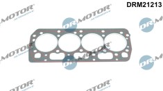 Garnitura, Chiulasa 289659 DRM21213