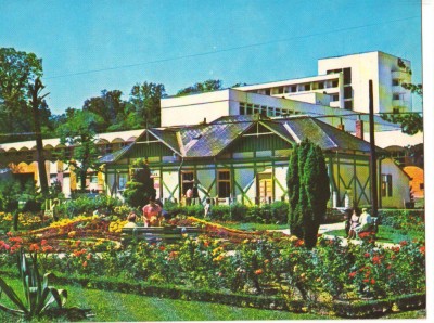 CPIB 16206 CARTE POSTALA - BAILE FELIX. VEDERE DIN PARC foto