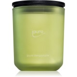 ipuro Classic Bergamote lum&acirc;nare parfumată 270 g