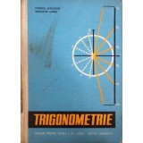 TRIGONOMETRIE. MANUAL PENTRU CLASA A X-A LICEU, SECTIA UMANISTA-POPESCU GHEORGHE, SCHUSZLER ALFRED-340983