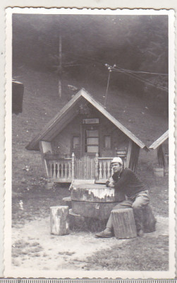 bnk foto Cabana Brusturet 1973 - casutele din camping foto