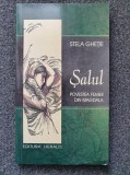 SALUL. POVESTEA FEMEII DIN MAGDALA - Stela Ghetie