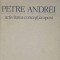 PETRE ANDREI. ACTIVITATEA, CONCEPTIA, OPERA-MIRCEA MACIU-265078