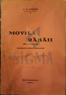 C. D. VASILIU foto