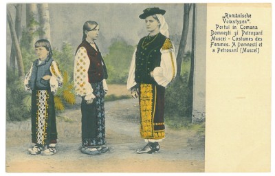 1527 - DOMNESTI, Arges, Port Popular, Romania - old postcard - unused foto
