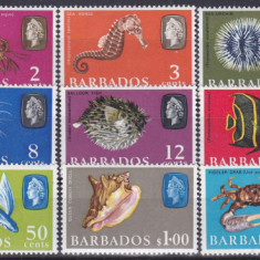 DB1 Fauna Marina Pesti Crustacee Moluste Barbados 1965 - 69 15 v. MNH