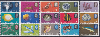 DB1 Fauna Marina Pesti Crustacee Moluste Barbados 1965 - 69 15 v. MNH foto