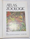 Atlas zoologic - C. Bogoescu, A. Dabija, E. Sanielevici , 1980