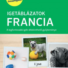 PONS Igetáblázatok - Francia - A legfontosabb igék áttekinthető gyűjteménye - Pascale Rousseau