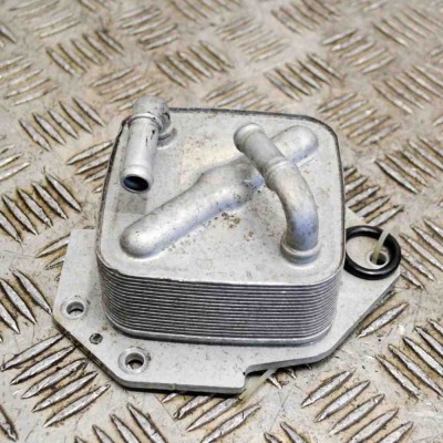 Răcitor de ulei JAGUAR F-TYPE Coupe X152 2016 foto