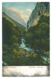 5493 - Baile HERCULANE, Caras-Severin, Romania - old postcard - unused, Necirculata, Printata