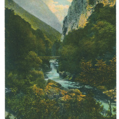 5493 - Baile HERCULANE, Caras-Severin, Romania - old postcard - unused