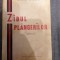 Grigore Bradisteanu - Zidul Plangerilor