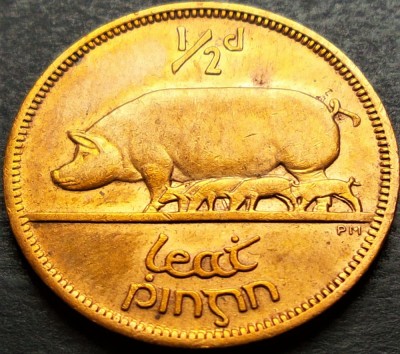 Moneda 1/2 PENNY - IRLANDA, anul 1966 * cod 1444 A foto