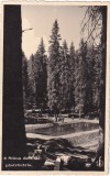 Stana de Vale. Pastravaria (circulata 1938)